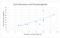 Phosphor-Biomasse 4 – 3.png
