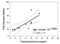 Phosphor-Biomasse.png